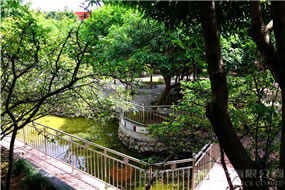 園內(nèi)一角