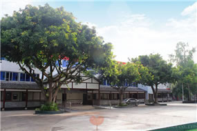 園內(nèi)一角